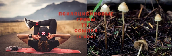кристаллы Нея