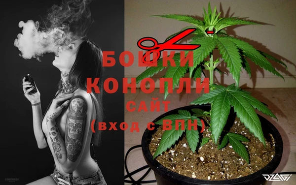 трава Наволоки