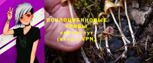 кристаллы Нея