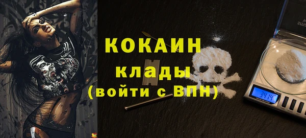 ГАЛЛЮЦИНОГЕННЫЕ ГРИБЫ Аша