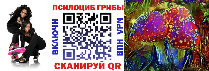 ссылка на мегу как зайти Киренск Галлюциногенные грибы Cubensis